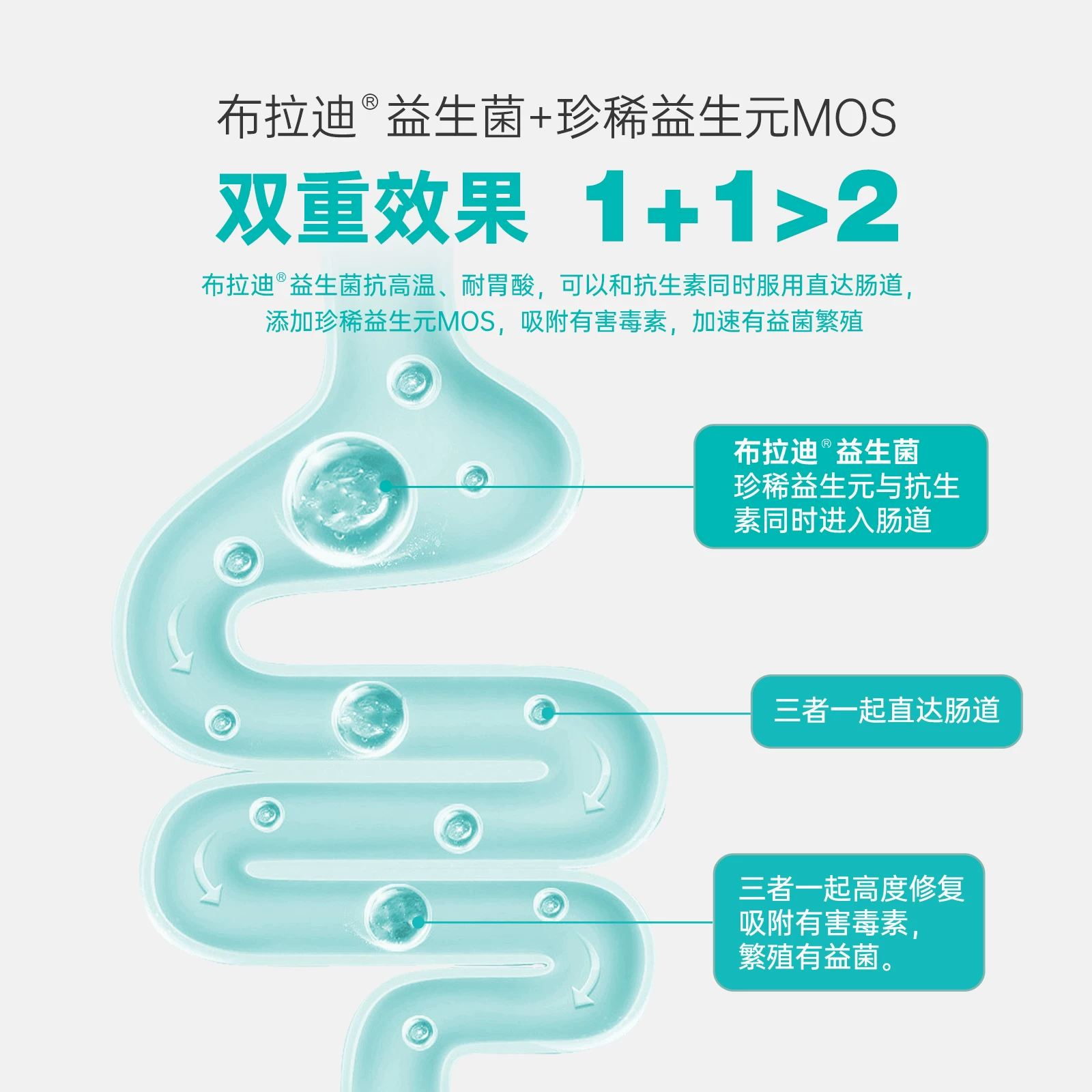 【缓解软便】布拉迪益生菌猫狗专用宠物酵母益生菌呕吐肠胃调理细节展示图2