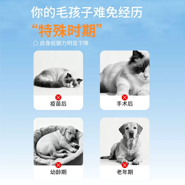 茶杯犬多维氨基酸营养膏宠物专用猫犬通用快速补充营养滋补保健品