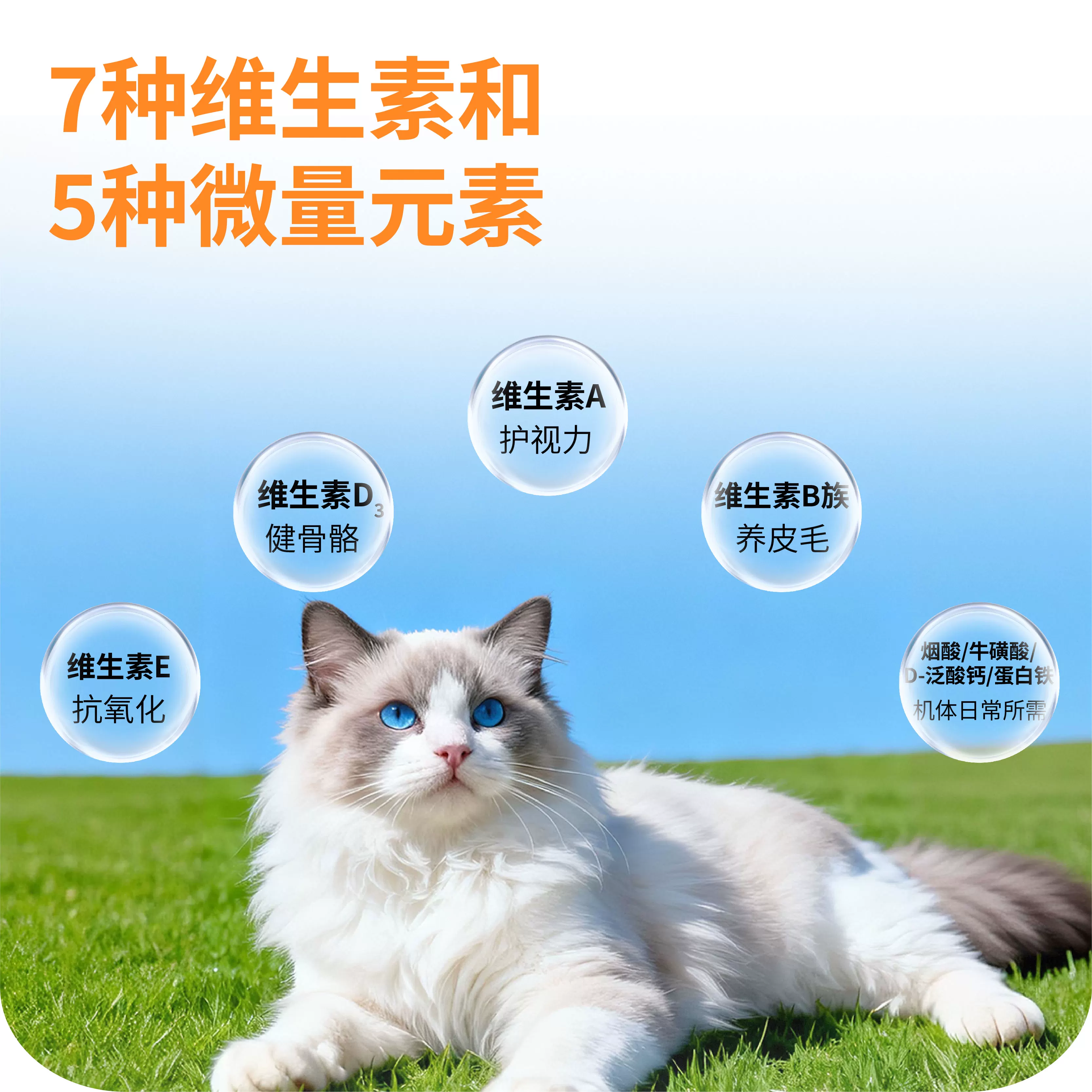 茶杯犬多维氨基酸营养膏宠物专用猫犬通用快速补充营养滋补保健品细节展示图3