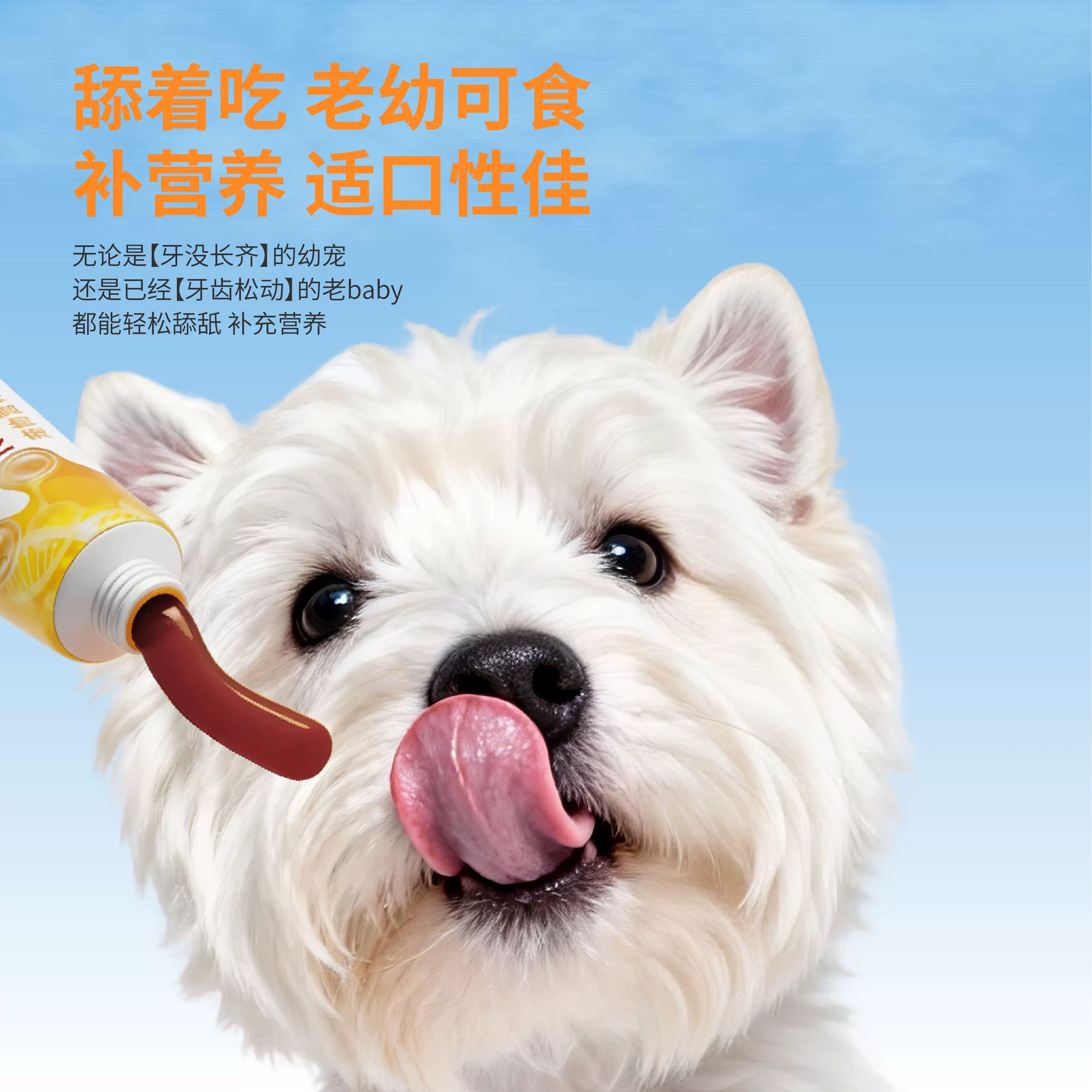 茶杯犬多维氨基酸营养膏宠物专用猫犬通用快速补充营养滋补保健品细节展示图4