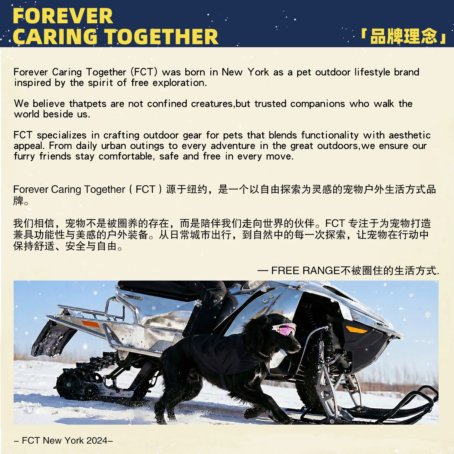 FCT狗狗墨镜柯基泰迪小中大型犬骑行防风紫外线宠物眼镜狗护目镜细节展示图4