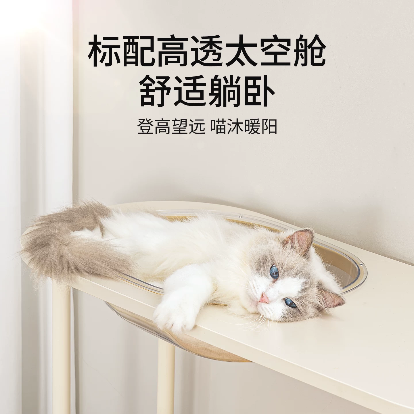 Mango蛮果宠物猫砂盆架子猫爬架置物架上方收纳多层收纳架餐桌垫细节展示图2