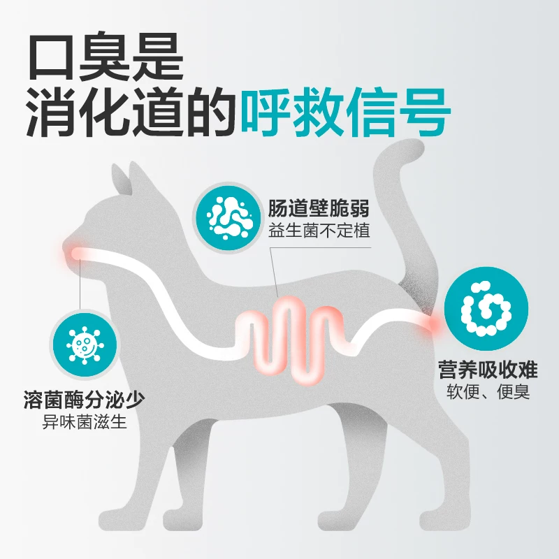 【顺丰极速达】卫仕仙气魔方口气清新猫狗用除口臭肠胃营养益生菌细节展示图1