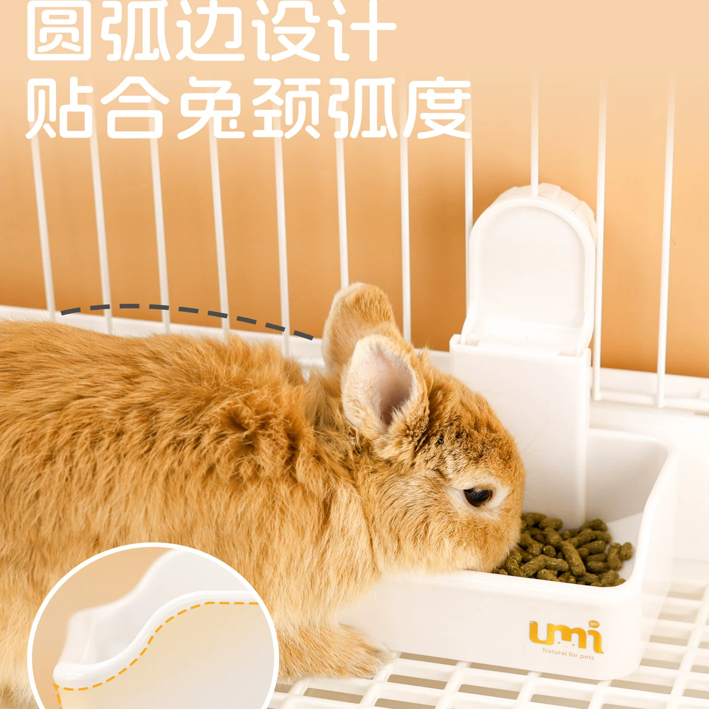 UMI食盆悬挂式加厚防啃咬兔粮碗荷兰猪龙猫兔子食盆防打翻用品细节展示图3