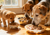 不同年龄的狗狗——幼犬、成犬、老年犬各自吃着适合自身阶段的食物，体现科学分龄喂食理念