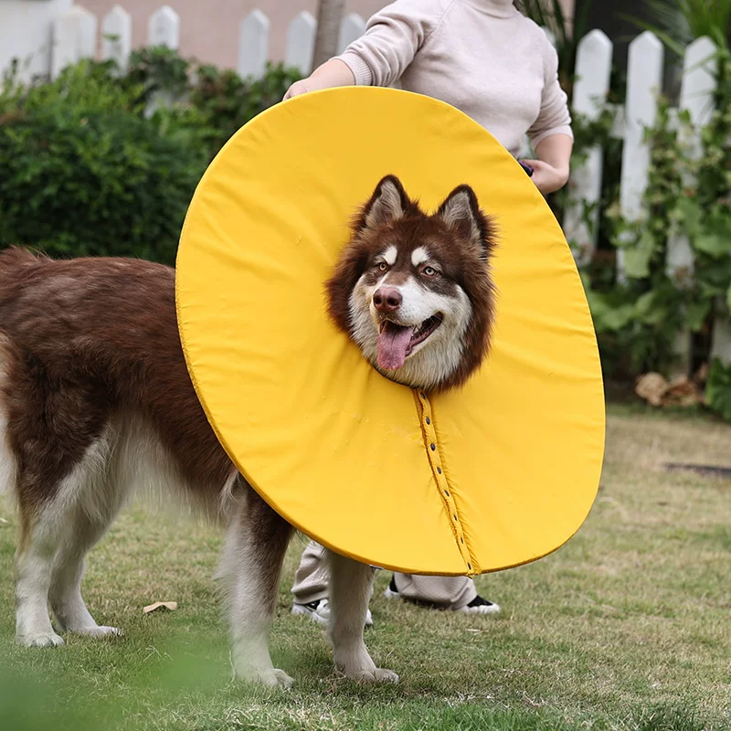 doglemi加长伊丽莎白圈狗狗大型犬加深术后防舔脖圈宠物狗头套罩细节展示图3