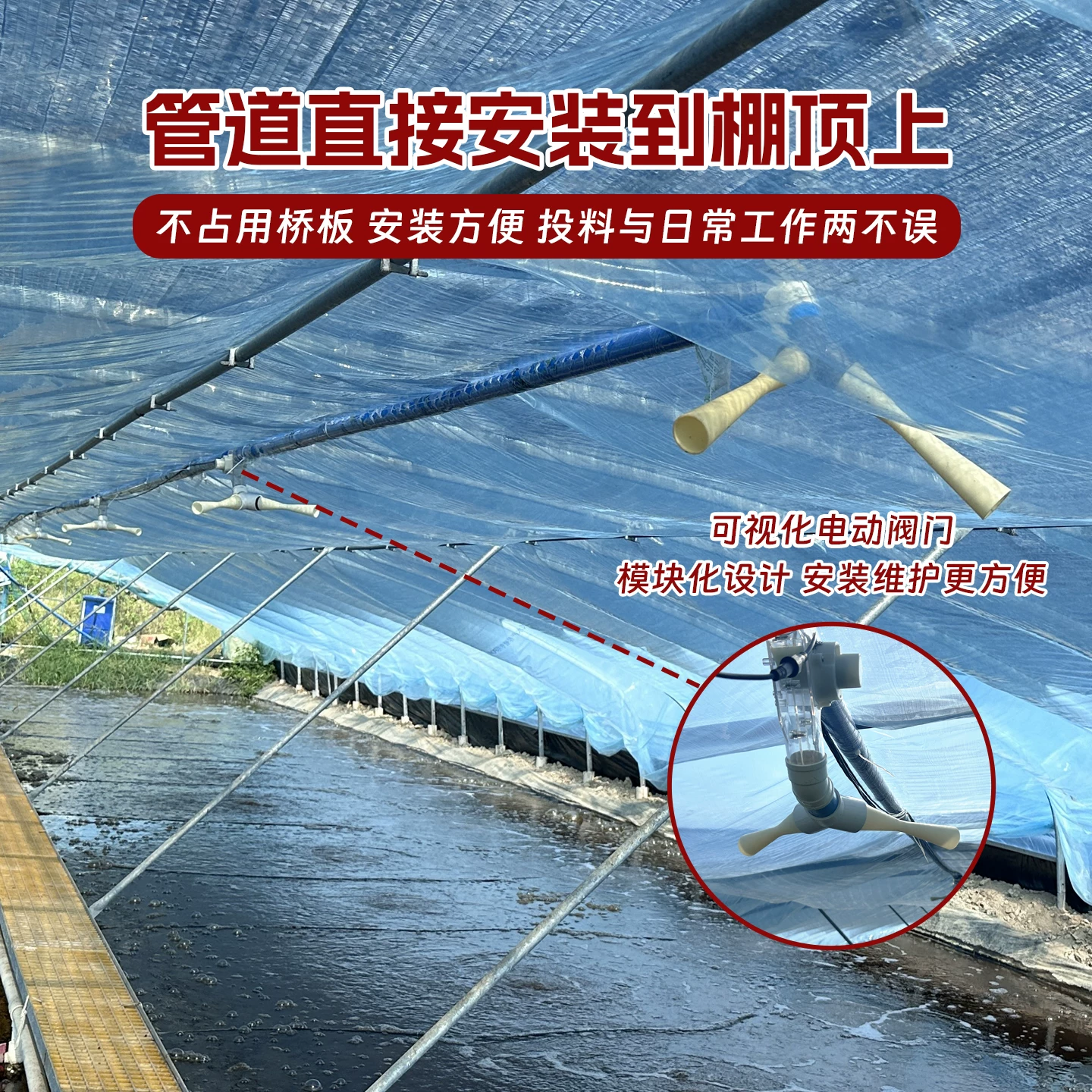 中渔小棚养虾专用风送投料机大范围投喂小棚虾塘自动投饵机喂食器细节展示图2