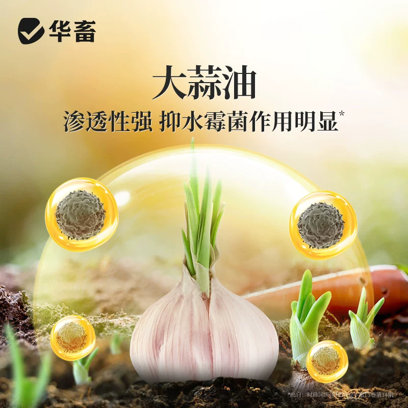 华畜硫醚沙星水产养殖聚维酮碘白毛水霉腐皮鱼塘烂尾烂身养鱼专用细节展示图3