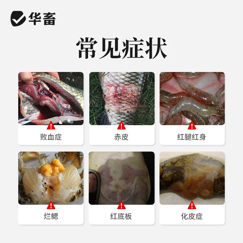 华畜聚维酮碘水产专用消毒液乌龟养殖复合碘溶液鱼虾蛙塘消毒杀菌细节展示图2