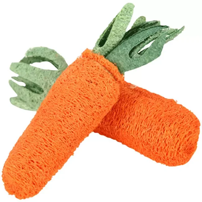 狗狗磨牙洁齿天然植物丝瓜络玩具宠物用品洁牙垢小狗幼犬泰迪1个