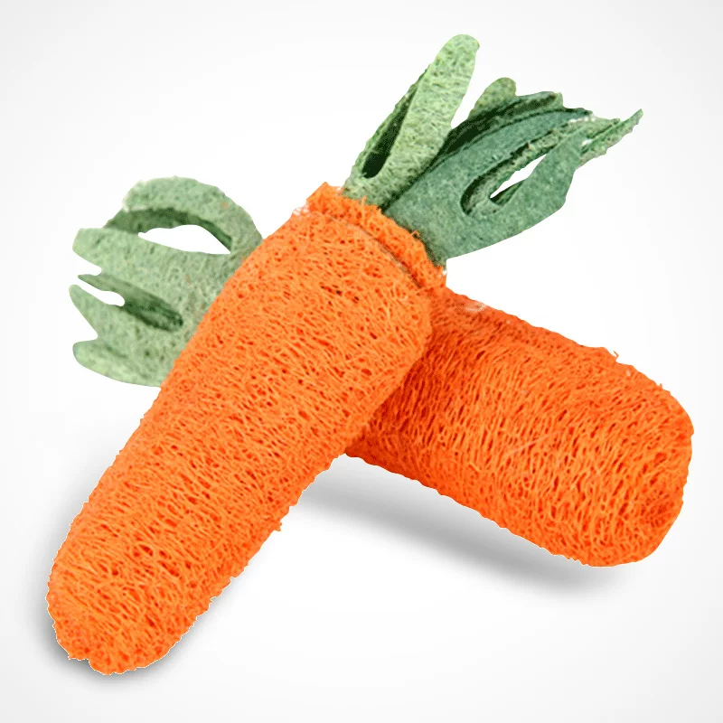 狗狗磨牙洁齿天然植物丝瓜络玩具宠物用品洁牙垢小狗幼犬泰迪1个细节展示图4