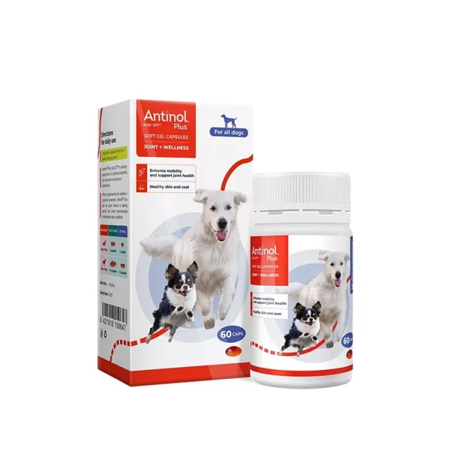 安替诺Antinol277软骨素髌骨脱位猫狗通用润滑关节腰椎骨刺安它诺