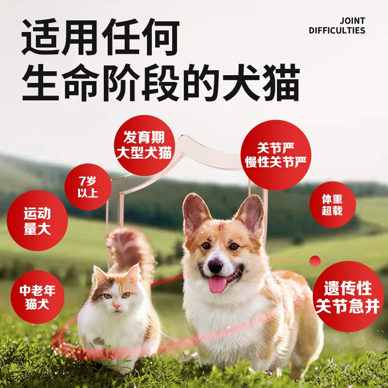 安替诺Antinol277软骨素髌骨脱位猫狗通用润滑关节腰椎骨刺安它诺细节展示图2