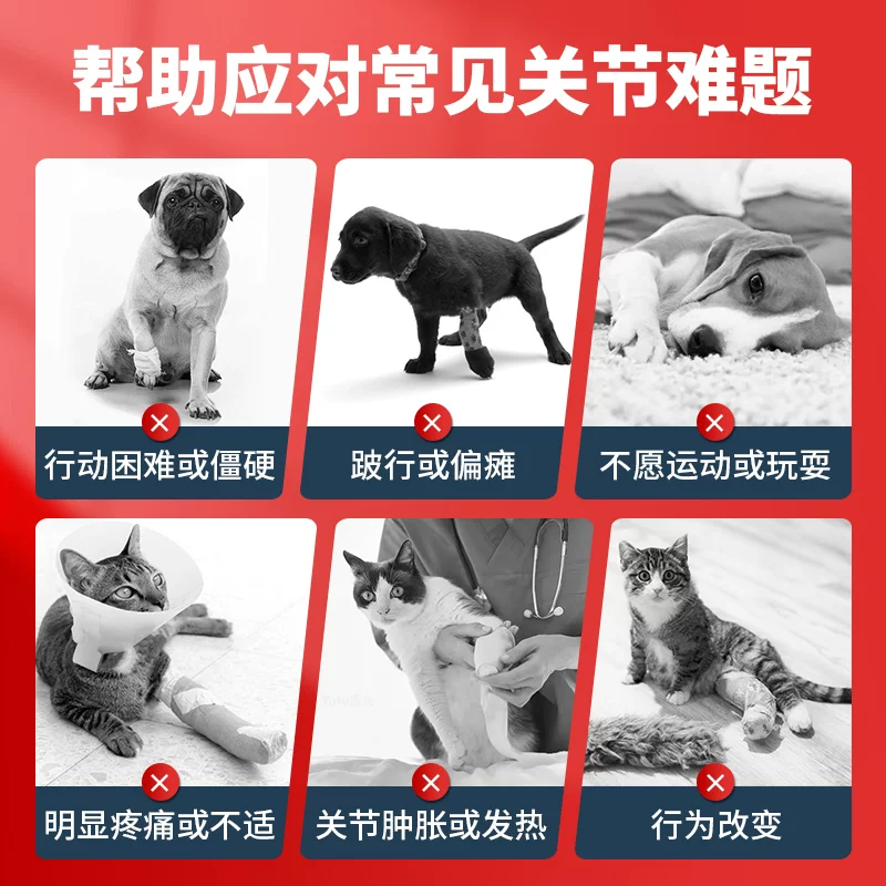 安替诺Antinol277软骨素髌骨脱位猫狗通用润滑关节腰椎骨刺安它诺细节展示图3