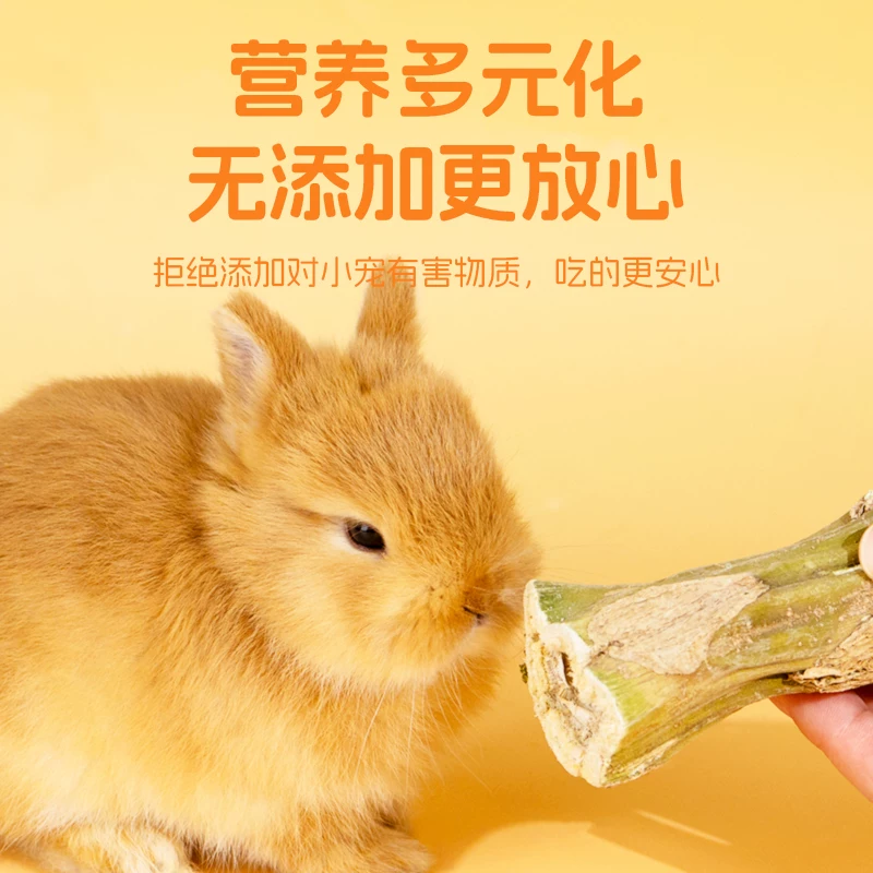 兔子磨牙棒零食兔子龙猫荷兰猪烘干木瓜墩磨牙解闷天然木瓜树玩具细节展示图3