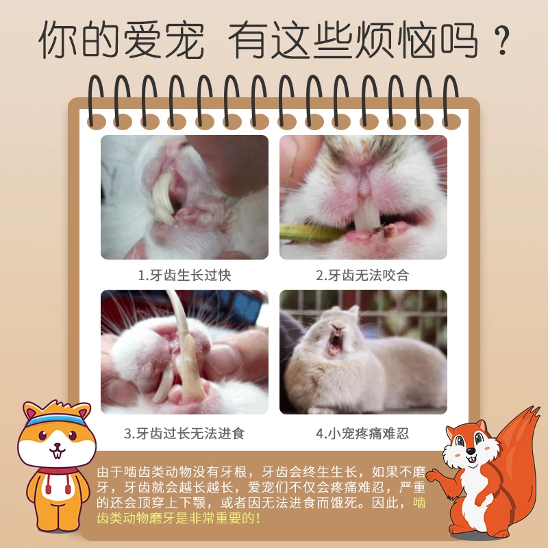 苜蓿草棒棍兔子吃的小零食营养兔兔龙猫豚鼠荷兰猪磨牙棒瓶装细节展示图1