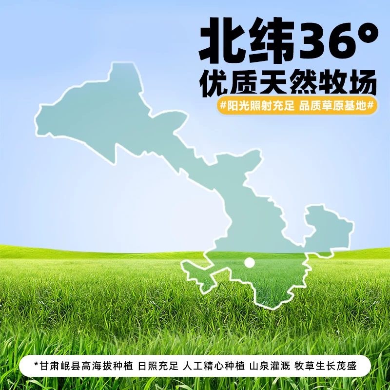 25年新烘干提摩西草兔草兔子食用草北提草豚鼠龙猫干草牧草兔粮细节展示图2