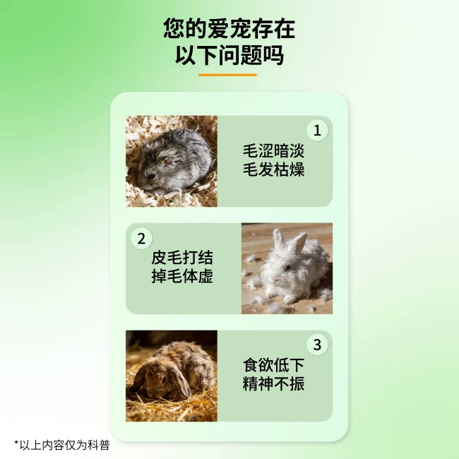 豚鼠美毛营养膏仓鼠兔子荷兰猪龙猫专用营养补充助长怀孕期用品
