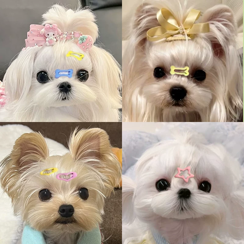约克夏发夹宠物专用迷你发卡小狗狗夹子头饰泰迪比熊马尔济斯发饰细节展示图2