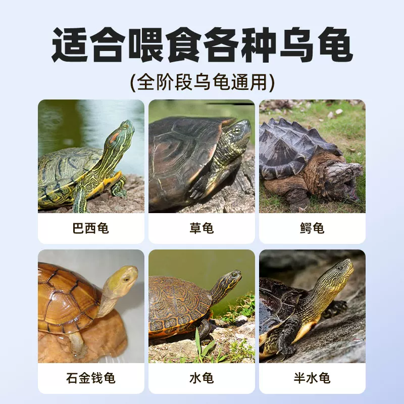 小乌龟饲料龟粮通用无盐淡水小鱼小虾干零食巴西草龟护甲护壳专用细节展示图4