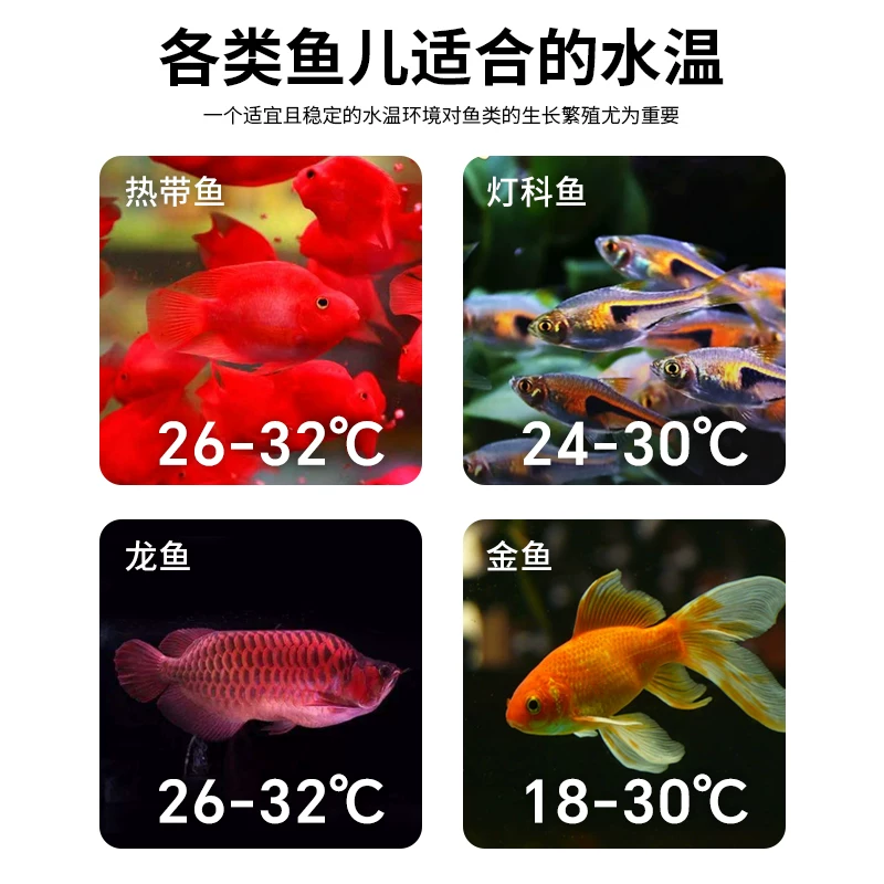 沃韦朗贴片温度计电子数显高精度水族鱼缸专用小胖水温计测量乌龟细节展示图1