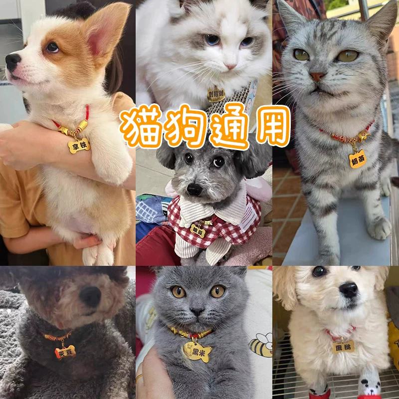 狗狗牌身份牌定制宠物猫咪小型犬泰迪犬防走丢牌刻字手工项圈吊牌细节展示图2