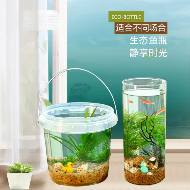 生态瓶DIY小鱼手提塑料微景观淡水冷水观赏鱼虾真水草活体学校