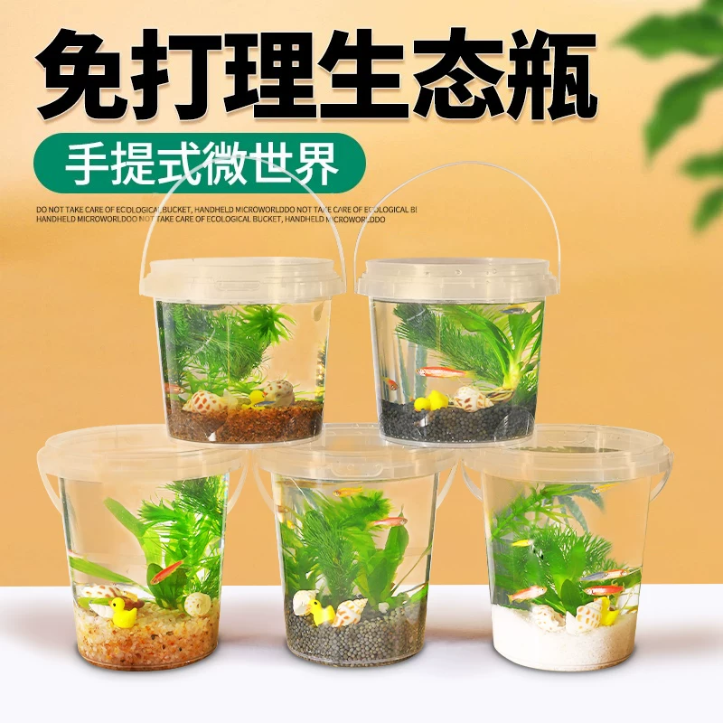 生态瓶DIY小鱼手提塑料微景观淡水冷水观赏鱼虾真水草活体学校细节展示图2