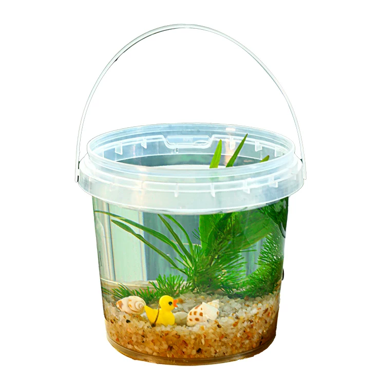 生态瓶DIY小鱼手提塑料微景观淡水冷水观赏鱼虾真水草活体学校细节展示图4