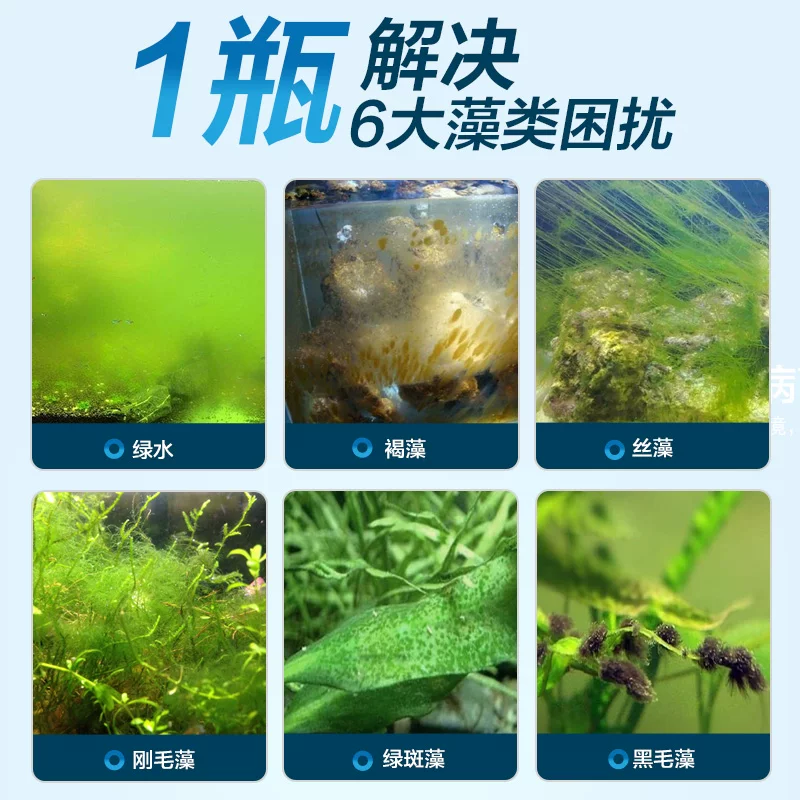 鱼缸除藻去苔剂青苔净神器灭藻去除绿水褐藻清除鱼池黑毛水藻绿藻细节展示图2