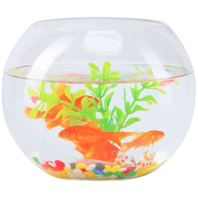 办公桌玻璃鱼缸金鱼缸水族箱客厅小型桌面乌龟缸透明圆形家用造景