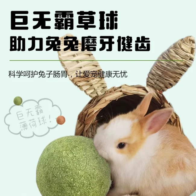兔子草球超大号磨牙耐啃咬解闷玩具宠物侏儒兔荷兰猪龙猫兔兔玩具