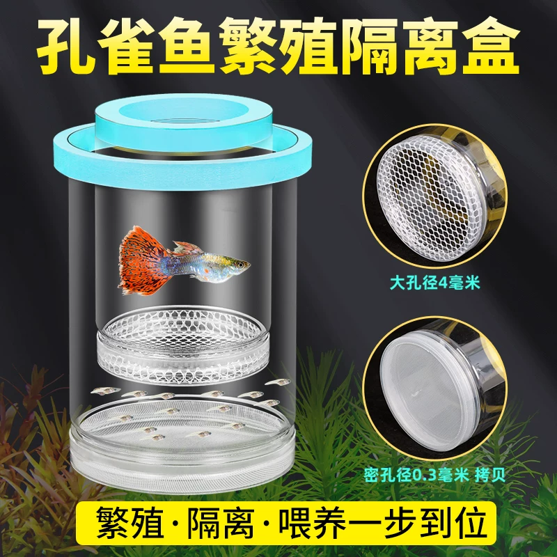 鱼缸隔离盒孔雀鱼繁殖盒凤尾斑马母鱼产房小鱼缸内胎生鱼产卵孵化细节展示图1