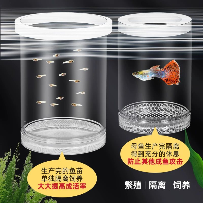 鱼缸隔离盒孔雀鱼繁殖盒凤尾斑马母鱼产房小鱼缸内胎生鱼产卵孵化细节展示图2