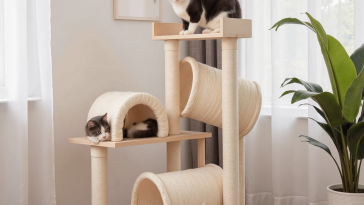 室内猫在多层猫树上玩耍探索,环境丰容布置