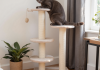 猫咪在高大剑麻猫抓柱上用力抓挠，满足感展示