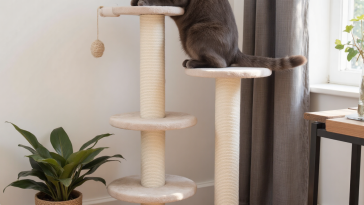 猫咪在高大剑麻猫抓柱上用力抓挠，满足感展示