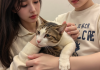 主人温柔安抚焦虑猫咪，猫咪应激管理环境优化居家缓解