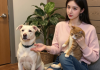 新手考虑养宠物选猫选狗，家庭宠物选择决策场景