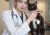 什么是猫白血病病毒（FeLV）