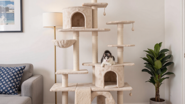 猫爬架的核心作用与选购原则
