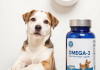 为什么宠物需要Omega-3