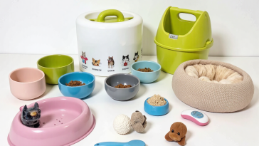 猫咪基础用品选购要点